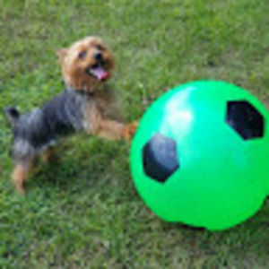 Meet your Posher, Cherie